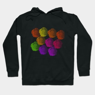 Rose Rainbow Hoodie